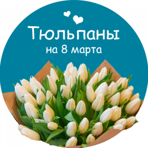 Купить тюльпаны в Симферополе